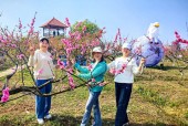 春日踏青赏花热潮席卷全国，各地文旅活动盛况如火如荼