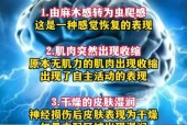 女孩不当行为警示，纸片卷成尖塞入胸部的危险与教育之道