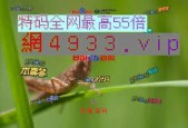 澳门100%最准一肖一码，经典答案落实的完美融合_GM版20.20.80