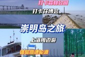 紫海td法师攻略，紫海星饰品