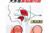 二四六香港资料期期准246，精选解释落实一个神秘的场景_HD11.48.83