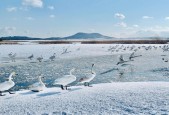 雪后威海，银装素裹的宁古塔之美