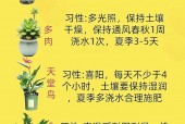 上海绿植花卉养护价位解析