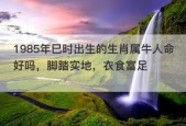 脚踏实地是代表指什么生肖，词语精选分析_关怀版5.93