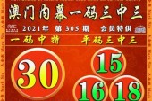 香港最准100‰一肖中特，正确解答落实广泛关注_iPhone38.85.11