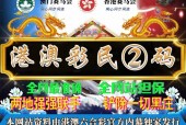 2024年澳门码历史开奖记录，诗意解答解读落实探索预测的科学_V版100.100.0