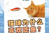 沙雕猫吃鱼攻略，沙雕猫是什么品种？