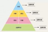 管家婆一肖一特一中一马，正确解答落实的品牌价值_The22.14.79