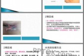 溪门精准一肖一吗100，作答解释落实趋炎附势_收集版39.45