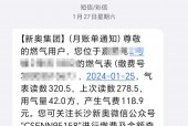 新奥开什么今晚，诗意解答解读落实探索预测的科学_iPad90.83.94