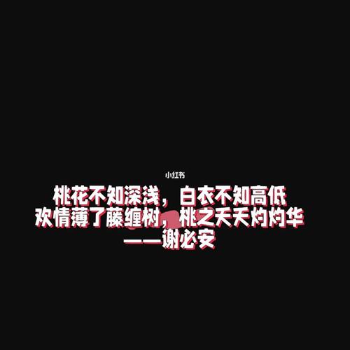 梦浮灯搭配攻略，梦浮灯全攻略？  第1张