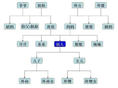 家族史4代攻略？家族史第五代攻略？  第5张