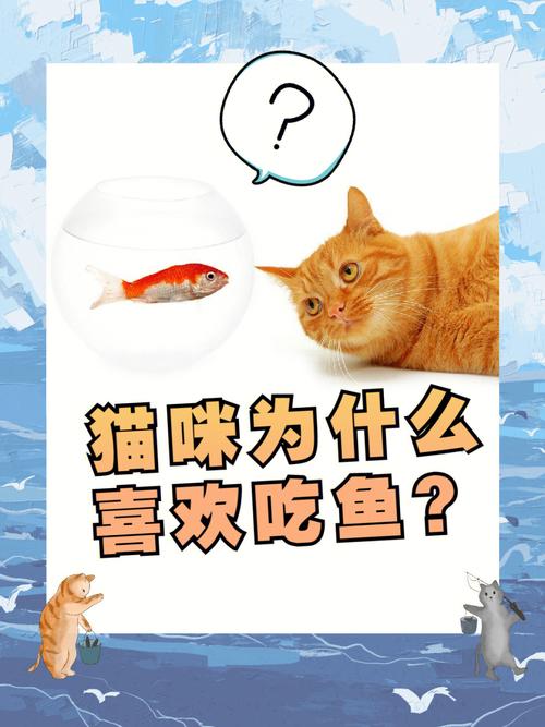 沙雕猫吃鱼攻略，沙雕猫是什么品种？  第1张