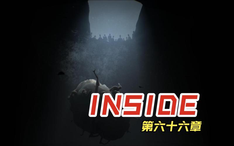 inside攻略第9关？inside关卡攻略？  第4张