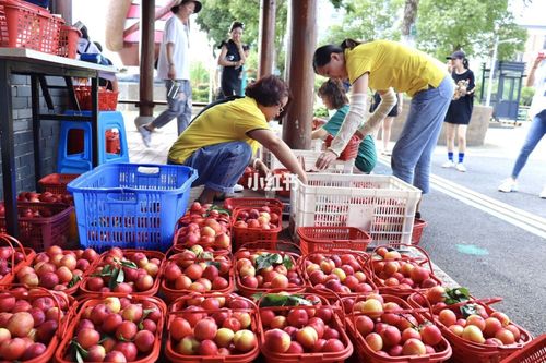 口碑农场种苹果攻略？口碑农场怎么养动物？  第4张