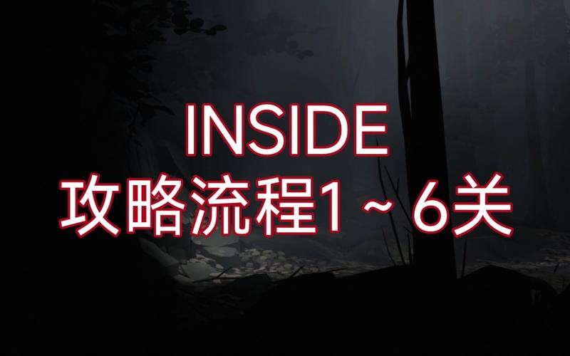 inside攻略第十七，inside17关怎么过  第1张