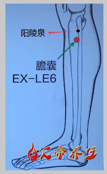 逆水寒经脉系统攻略，逆水寒经脉系统攻略图？  第3张