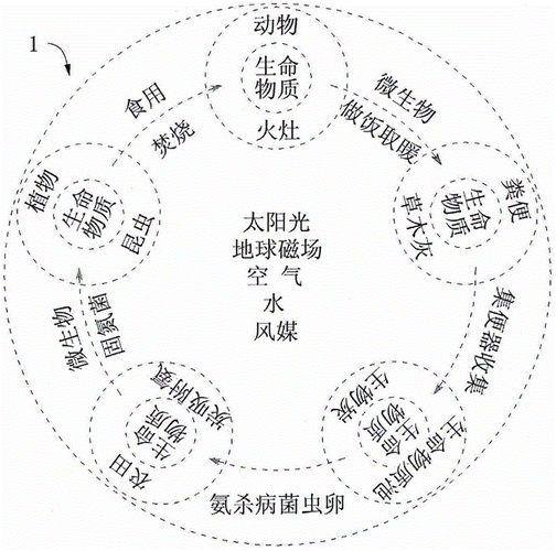 无限循环347关攻略？无限循环能量44关攻略？  第5张