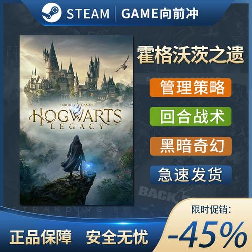 霍格沃兹遗产steam多少钱，霍格沃兹遗产是单机游戏吗  第4张