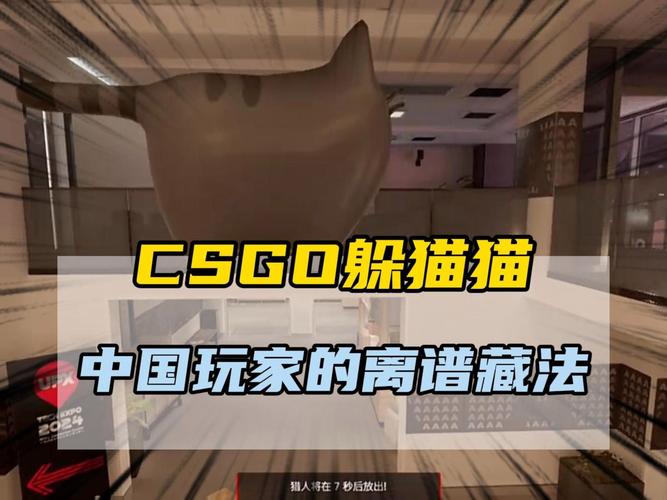 csgo国服怎么玩躲猫猫模式，csgo国服如何进入躲猫猫模式  第1张