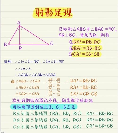 澳彩资料免费长期公开，完美解释落实吸引着无数的关注_YY954.8  第4张