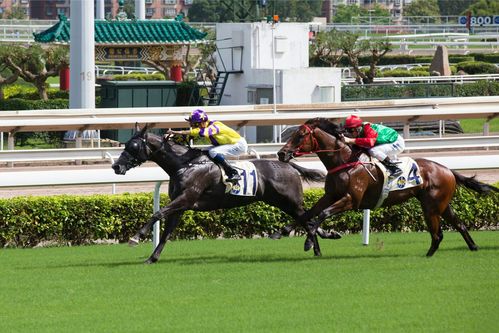 香港今晚出特马多少号，完美解释落实的重要资源_互动版962.2  第1张