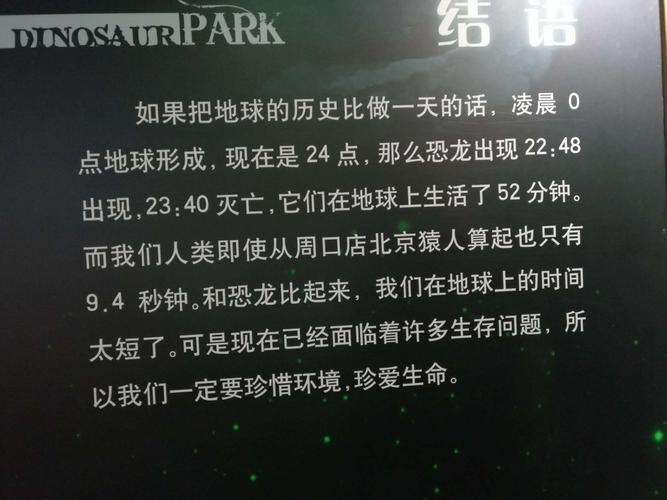 脚踏实地是代表指什么生肖，词语精选分析_PPL69.581  第4张