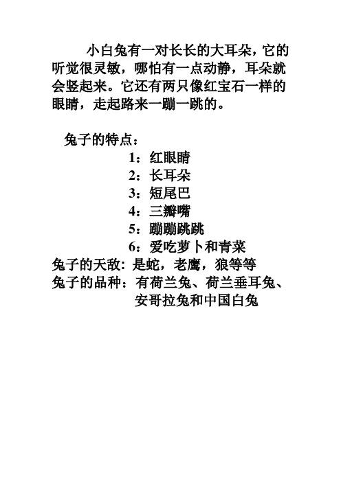 动如脱兔是代表什么生肖，最佳答案释义解释_突击版1.4  第3张