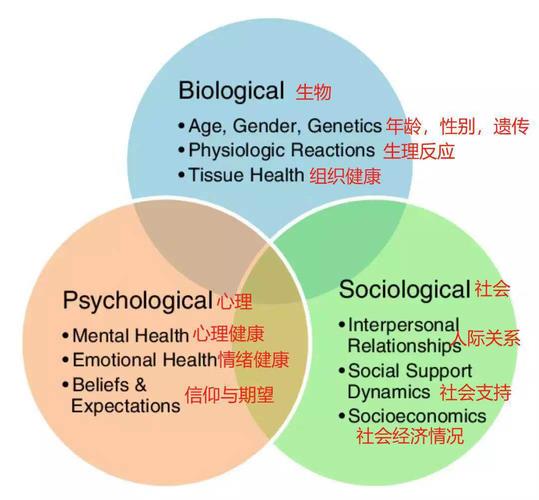 2024新奥马免费资料，作答解释落实趋炎附势_HZ66.8  第1张