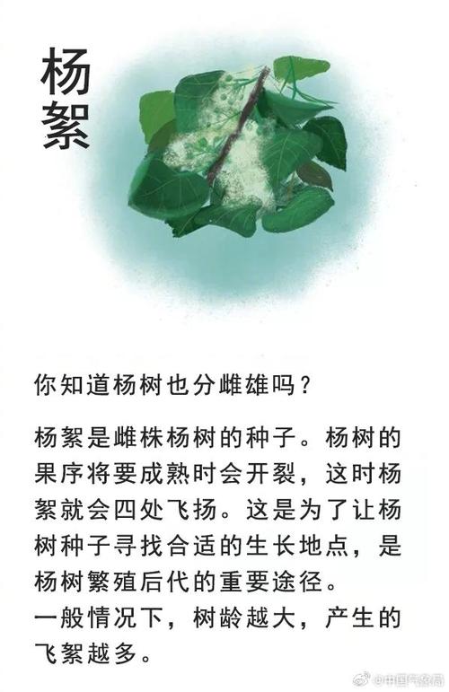 澳门最准一肖一码一码配套成龙一，作答解释落实趋炎附势_粉丝版366.639  第4张