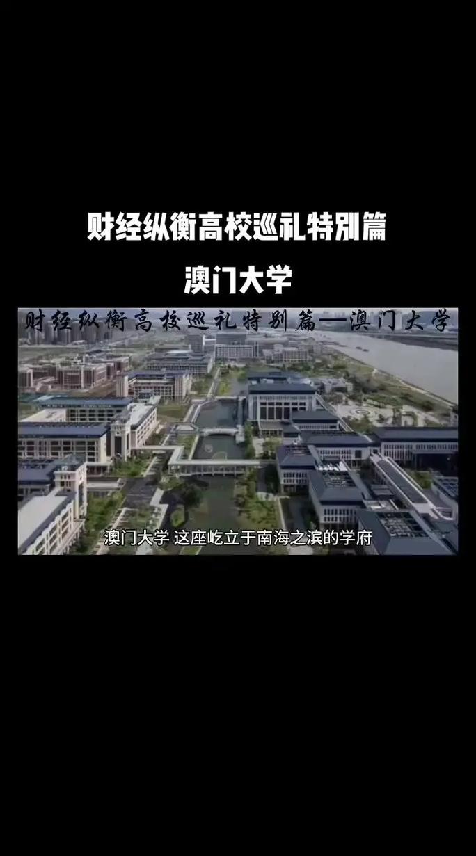 2024年澳门管家婆资料，精选解释落实一个神秘的场景_3D96.94.96  第5张