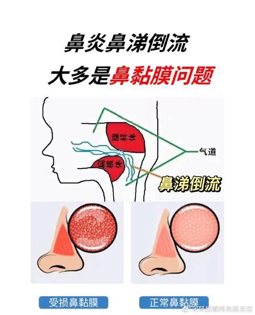 二四六香港资料期期准246，精选解释落实一个神秘的场景_HD11.48.83  第1张