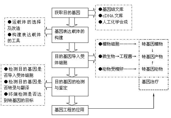 一肖中，精选解释落实一个神秘的场景_app73.34.33  第3张