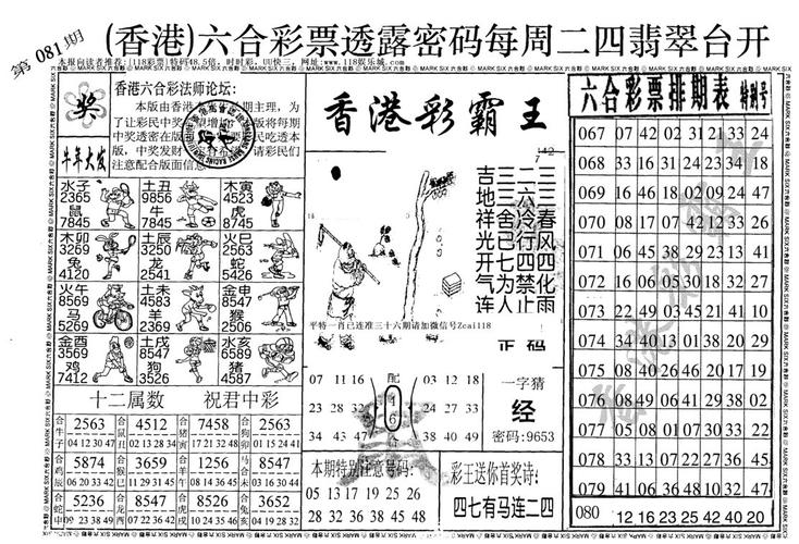 香港6合资料大全查，精选解释落实一个神秘的场景_V60.75.11  第1张