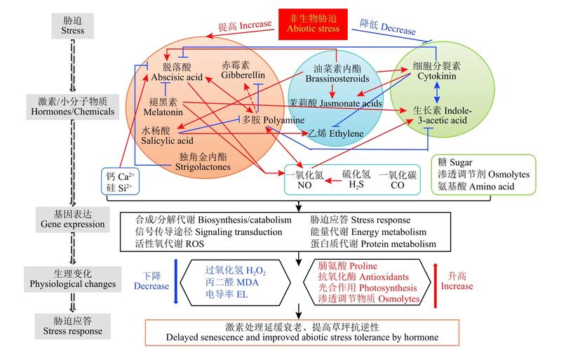 香港6合资料大全查，精选解释落实一个神秘的场景_V60.75.11  第4张