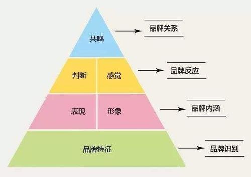 管家婆一肖一特一中一马，正确解答落实的品牌价值_The22.14.79  第1张