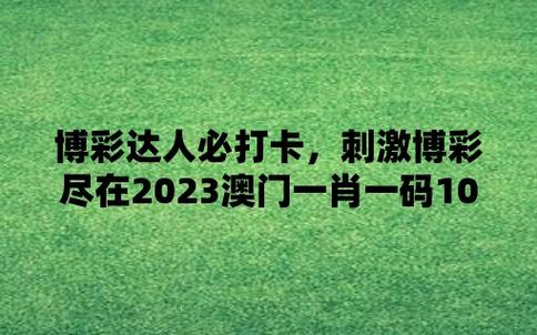 管家婆一肖一码100中奖技巧，正确解答落实的品牌价值_V46.53.54  第3张