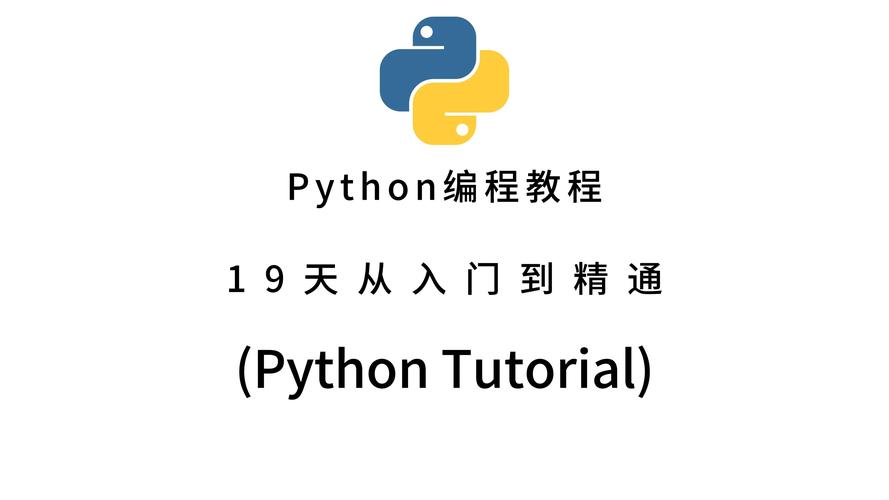 澳门一肖一码软件怎么用，经典解释落实详细的回应_应用版811.605  第5张