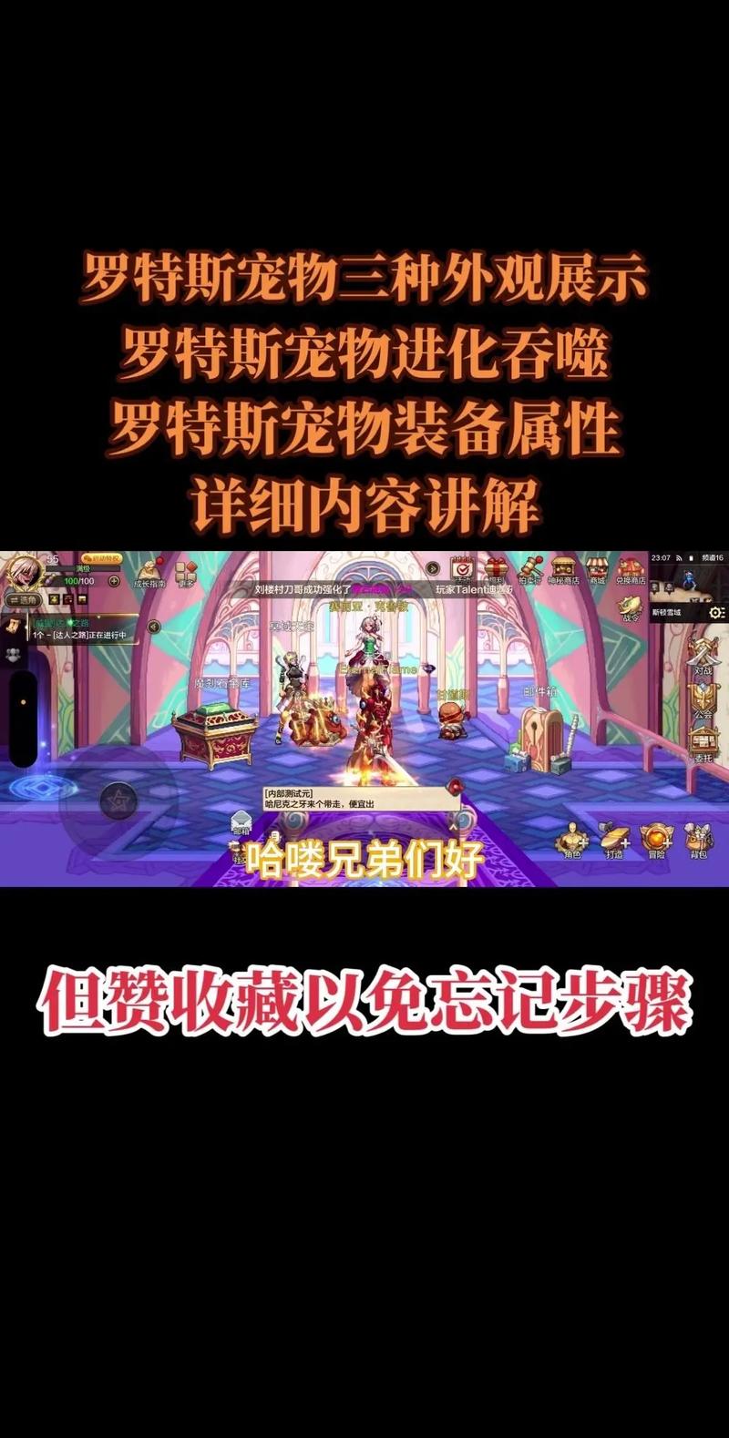 dnf能进化的宠物？dnf能进化的宠物是什么？  第1张