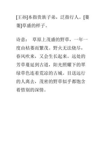 澳门王中王100%的资料一肖准，诗意解答解读落实探索预测的科学_Sims58.45.69  第2张