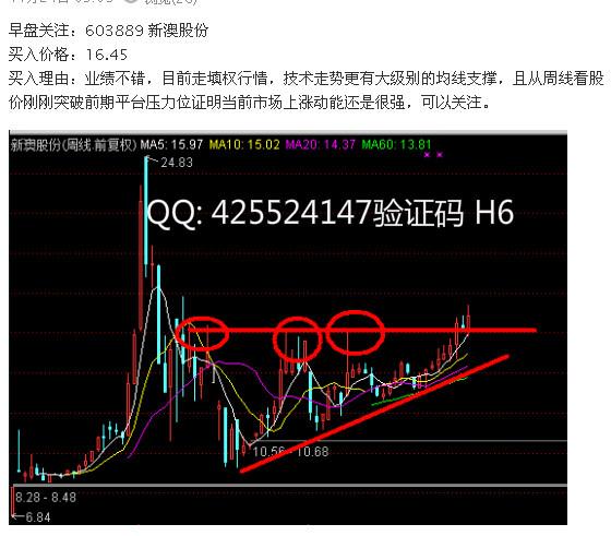 新澳2024年精准资料100，诗意解答解读落实探索预测的科学_app34.51.96  第1张