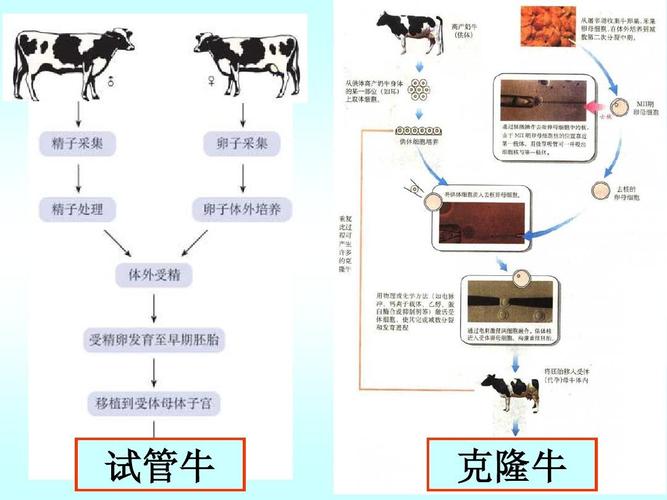 2024新澳门全年免费资料公开，诗意解答解读落实探索预测的科学_app9.90.46  第3张