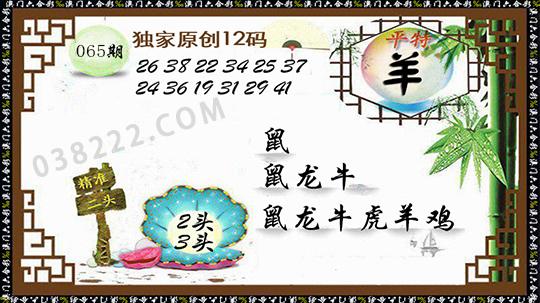 2024年新奥门王中王资料，经典解释落实详细的回应_主页版6.355  第1张