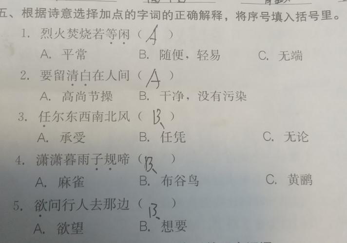 新奥门精准资料免费，诗意解答解读落实探索预测的科学_The90.100.40  第4张