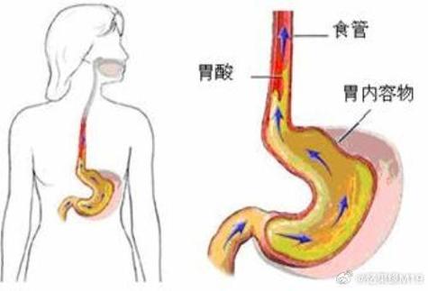 2024新奥门天天开好彩，精准解释落实及其象征意义_app19.22.51  第2张