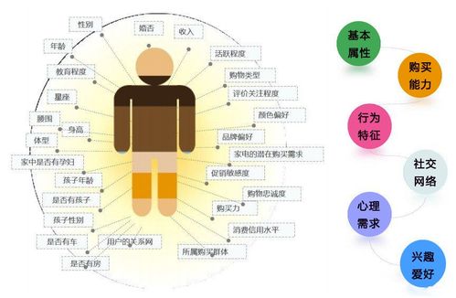 2024新奥门天天开好彩，精准解释落实及其象征意义_app19.22.51  第6张