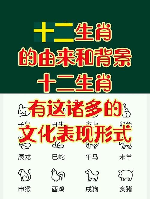 2024澳门今天晚上开什么生肖啊，精准解释落实及其象征意义_BT64.25.45  第1张