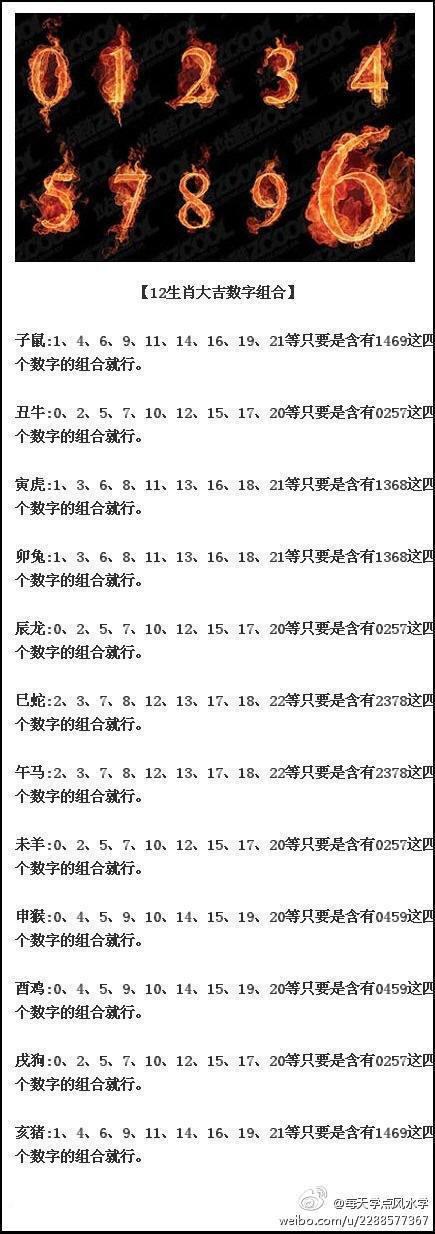 2024年新奥开奖结果166，精准解释落实及其象征意义_BT94.6.78  第3张