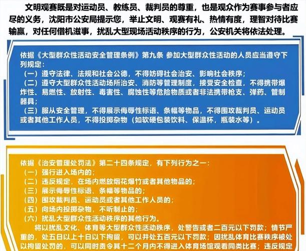 新奥新澳门六开奖结果资料查询，精准解释落实及其象征意义_VIP92.92.8  第6张