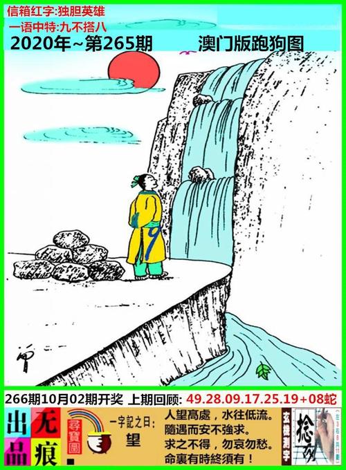 2024年澳门跑狗图正版下载，精准解释落实及其象征意义_V49.14.86  第5张